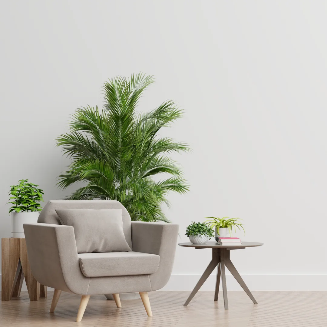Minimalist grey armchair with plants